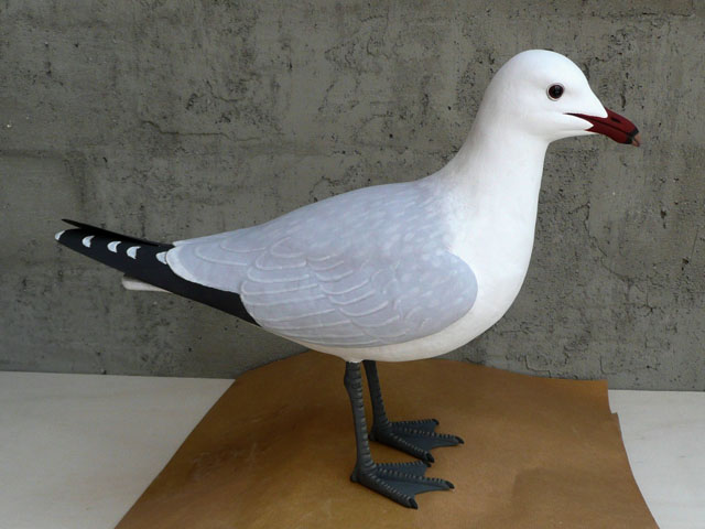 gaviota-de-audouin